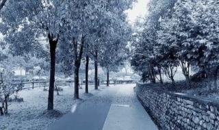 2022年初雪 2022年初雪